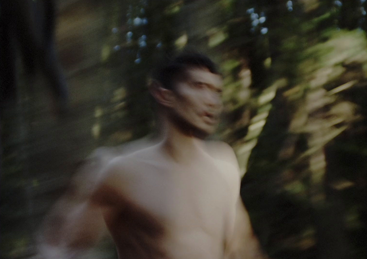 a blurry photo of a man in the woods