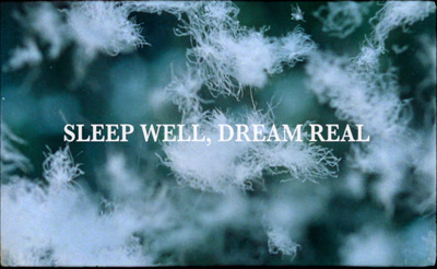 the words sleep well, dream real on a blurry background