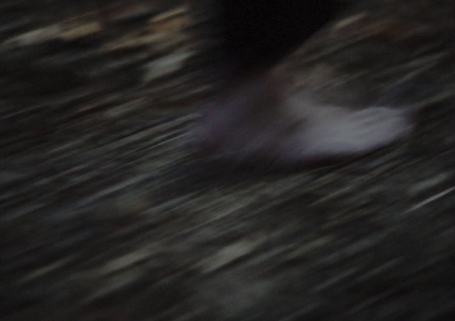 a blurry photo of a person walking in the woods