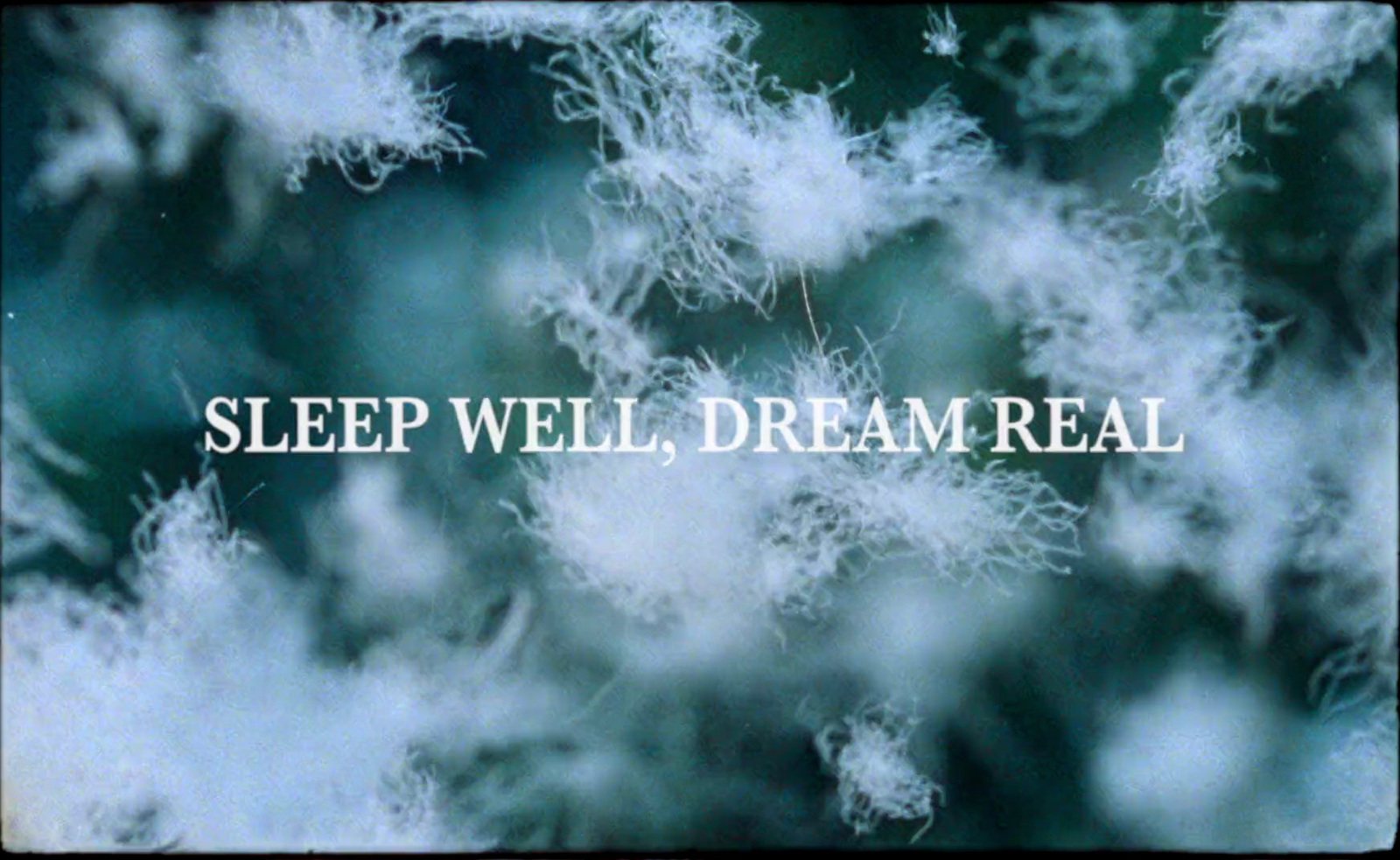 the words sleep well, dream real on a blurry background