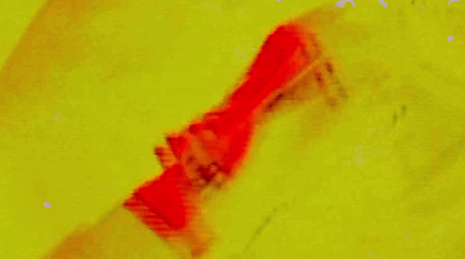 a blurry image of a red object on a yellow background