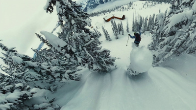 a person on skis in the snow near trees