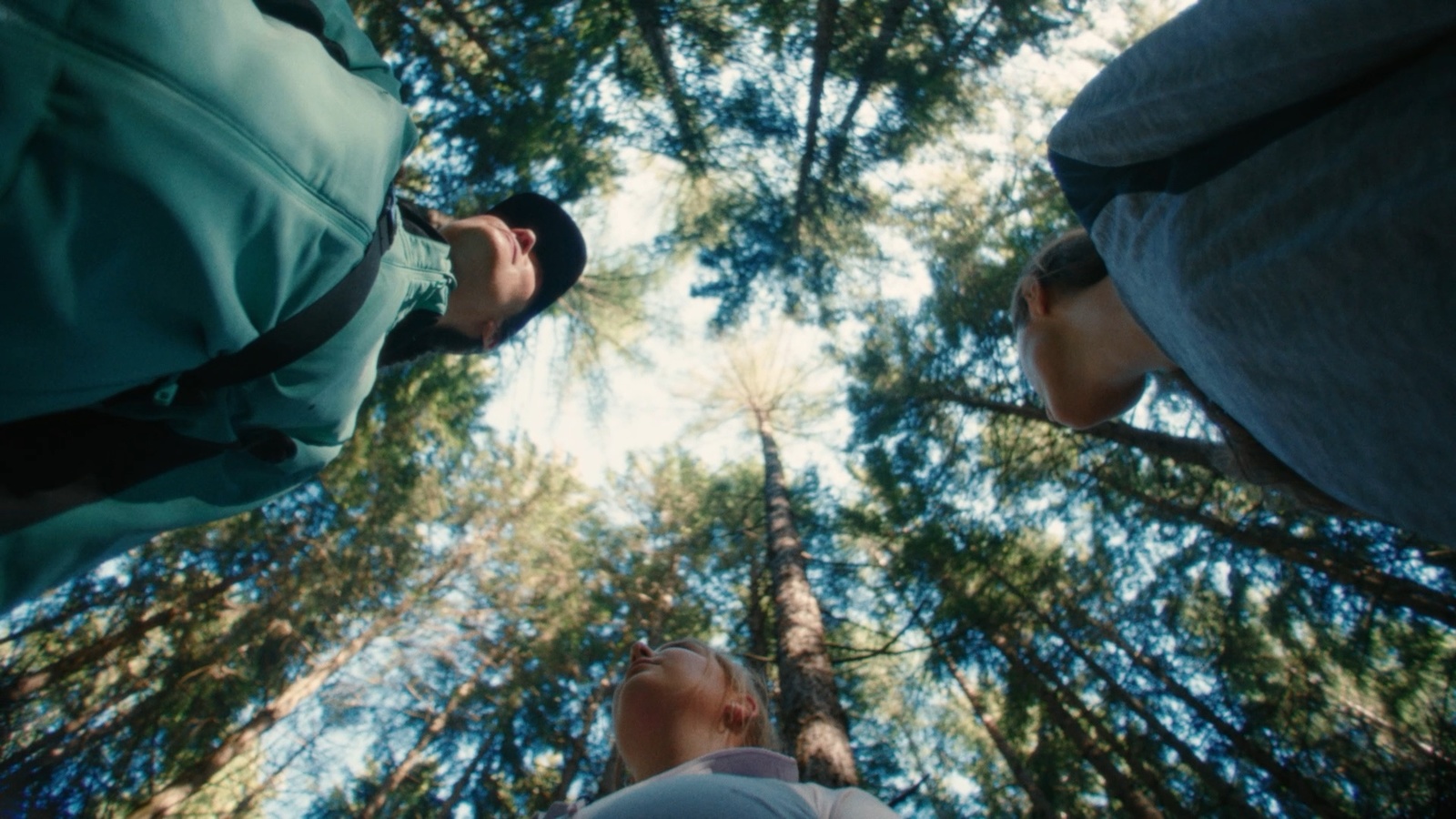 a group of people standing in the middle of a forest