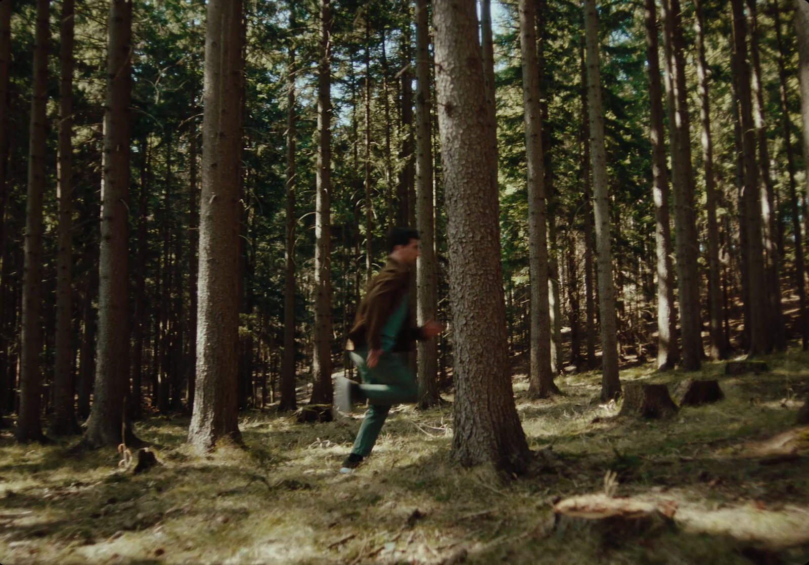 a man walking through a forest next to tall trees