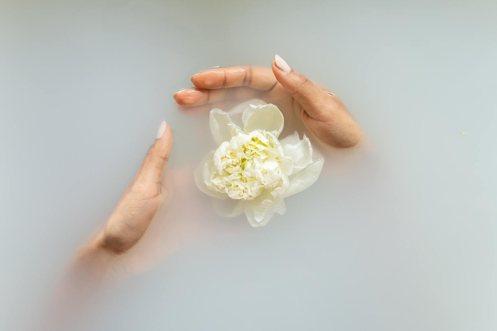 a person holding a flower in their hand