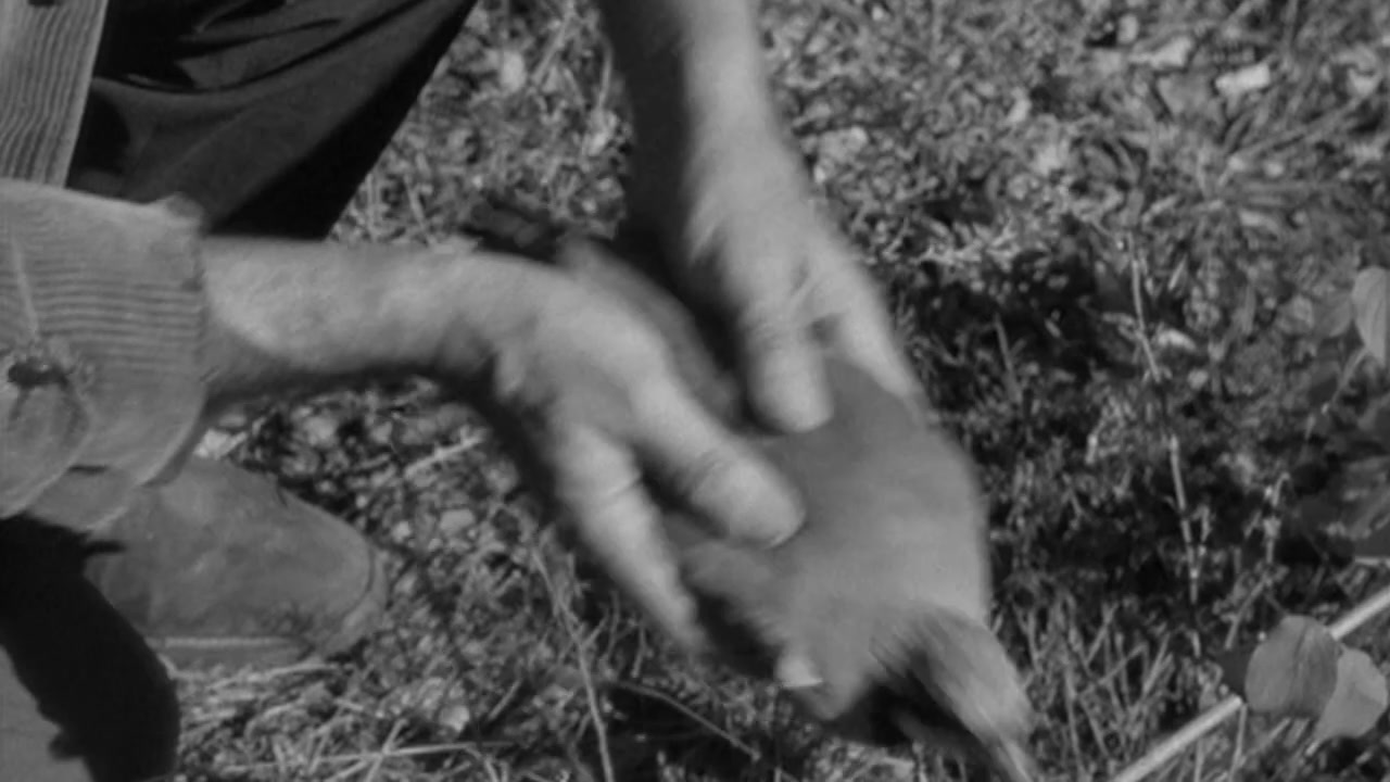 a black and white photo of a person holding something in their hand