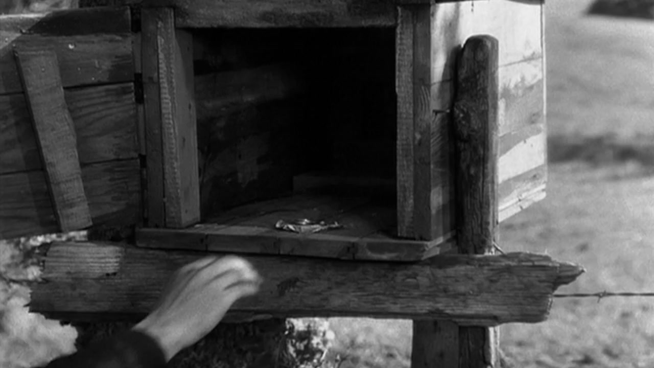 a person reaching into a wooden bird house