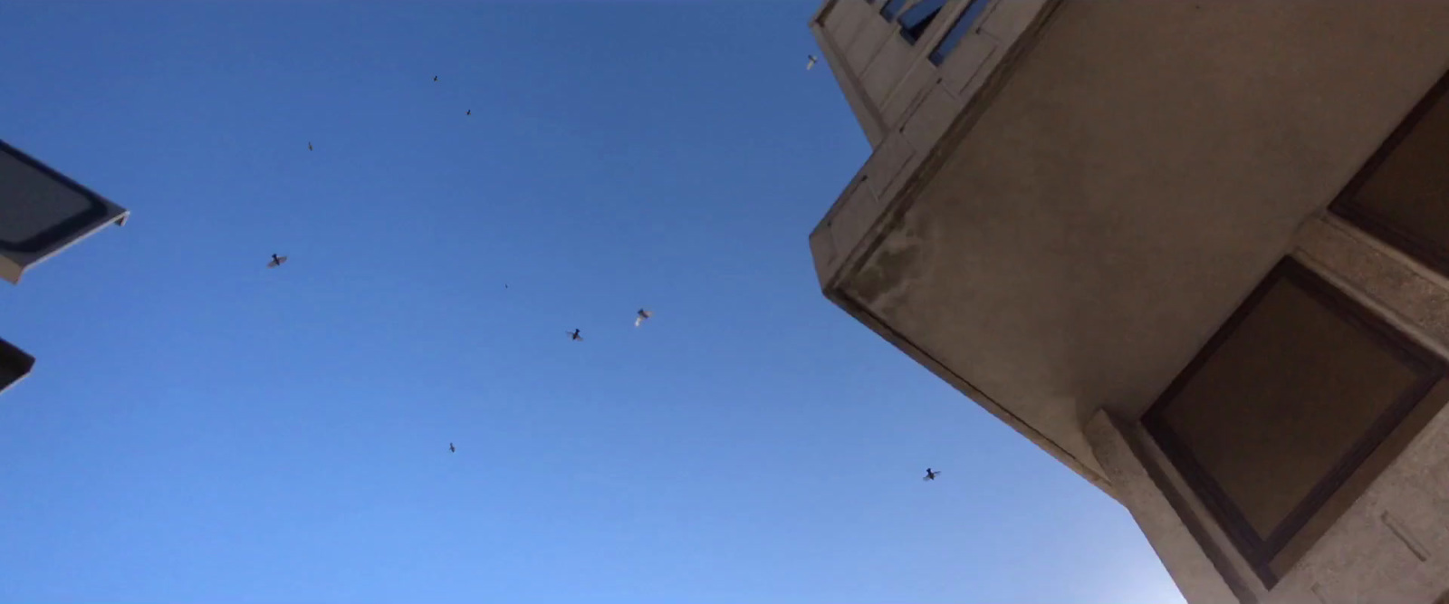 a group of people flying kites in the sky