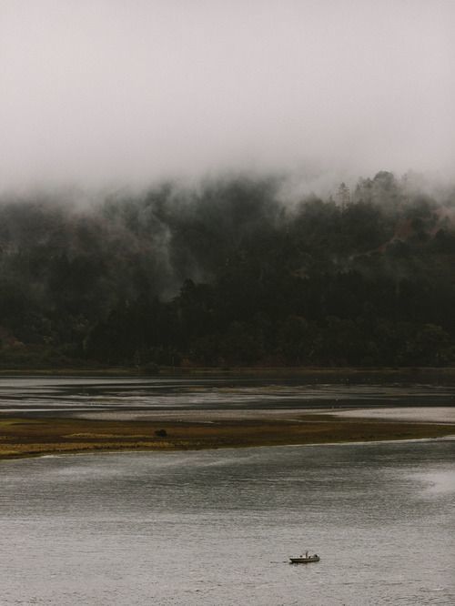 a boat floating on top of a lake next to a forest