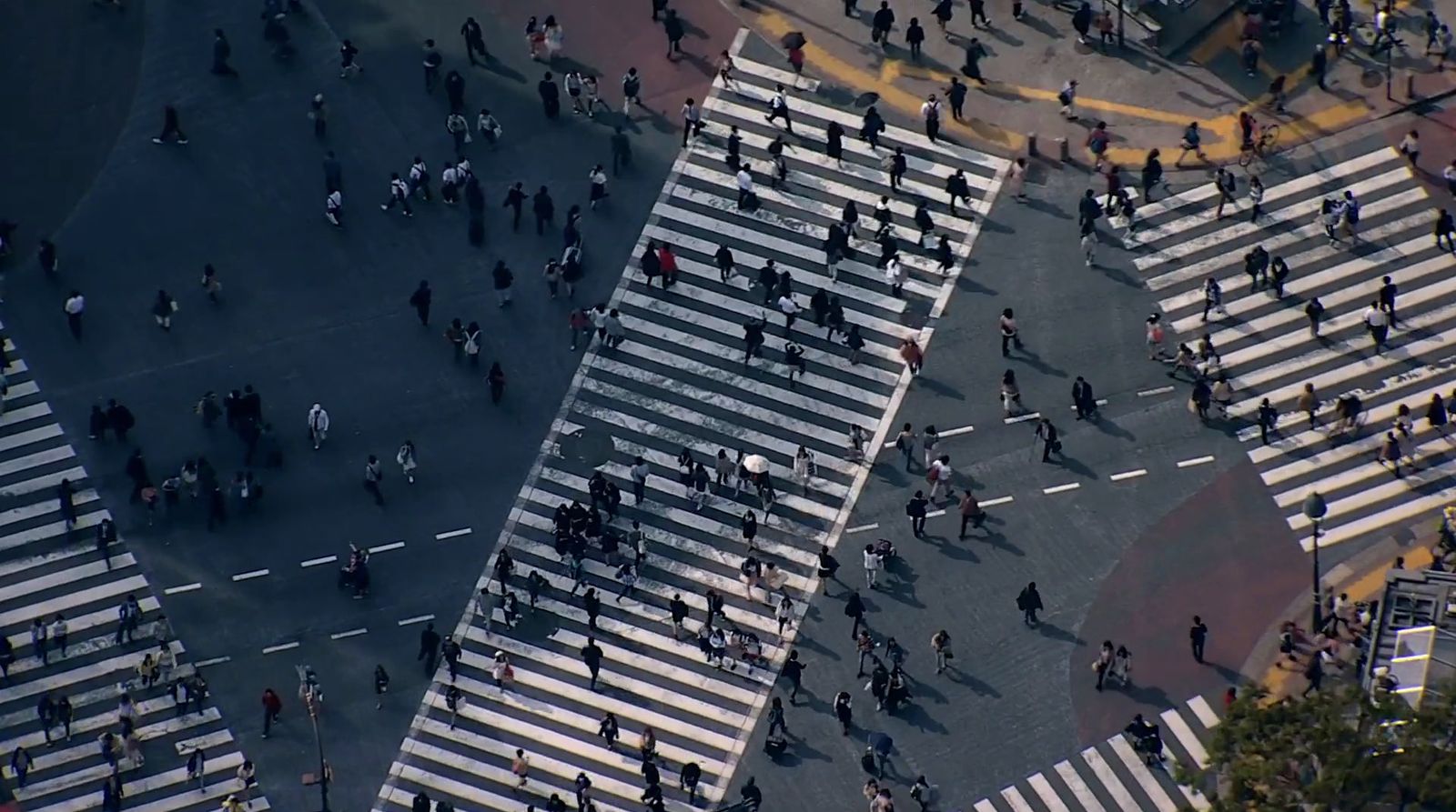 a large group of people walking across a street