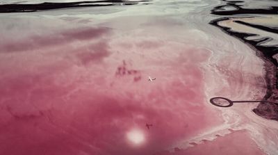 an aerial view of a pink lake with a magnifying glass