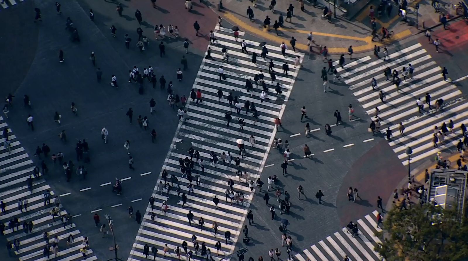 a large group of people walking across a street