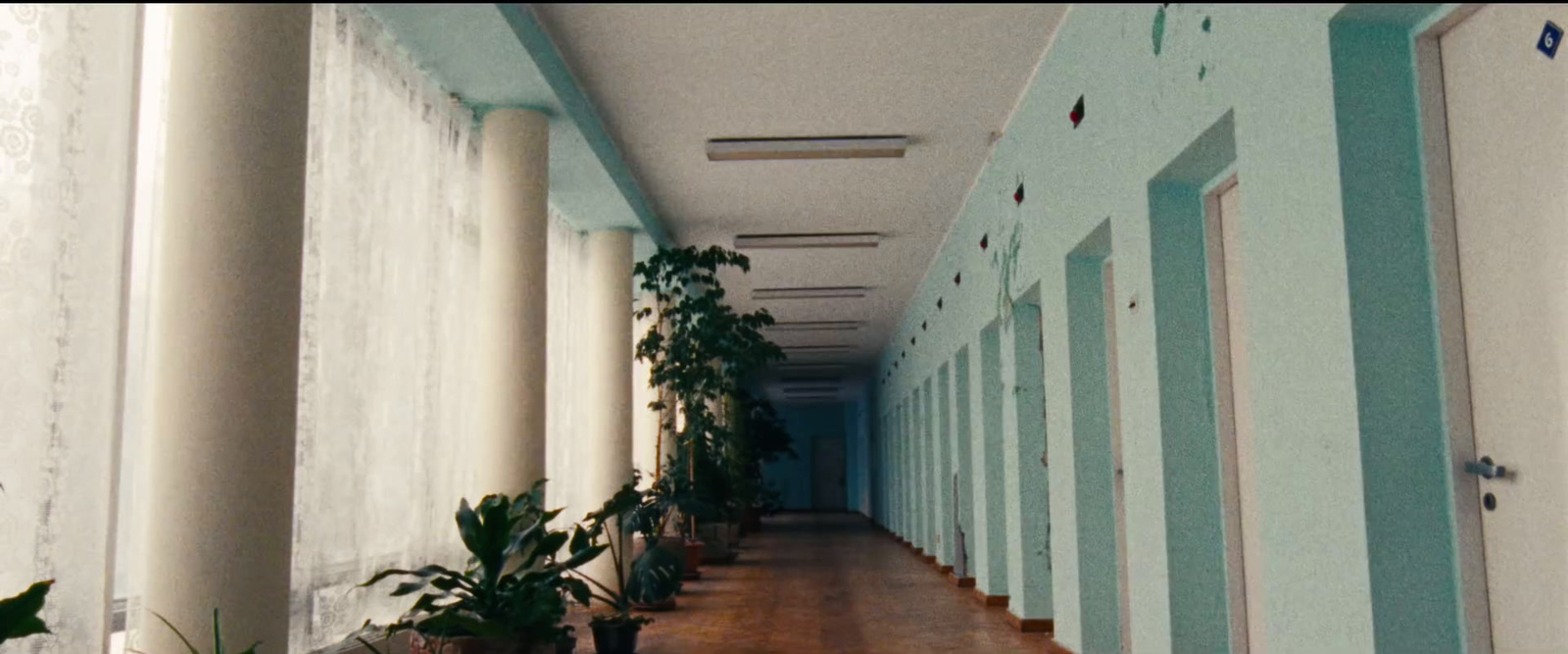 a long hallway lined with potted plants next to white walls