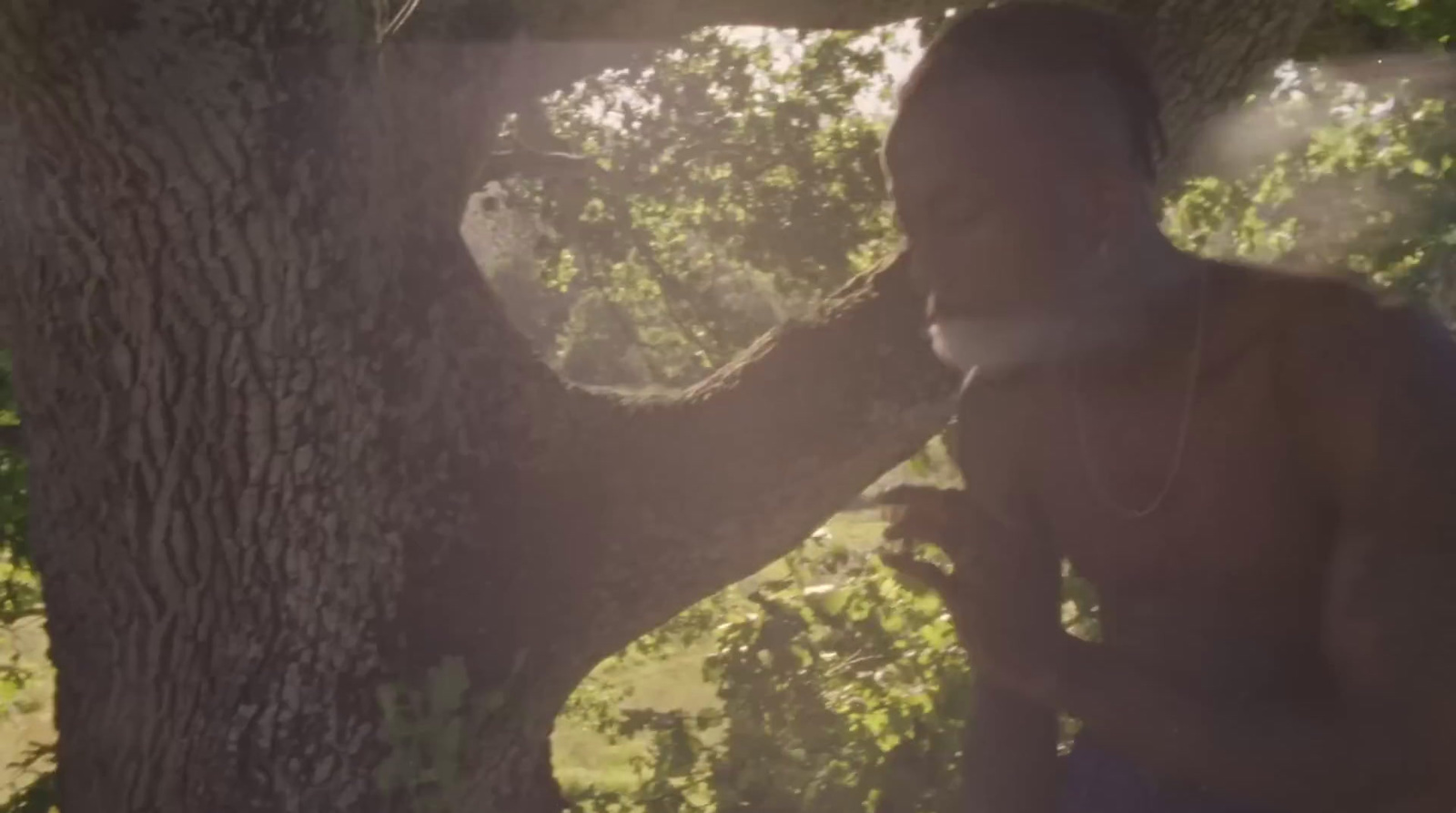 a man standing next to a tree in a forest