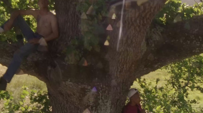 a man climbing up the side of a tree