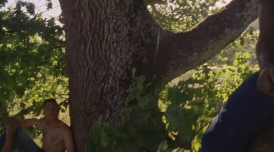 a man sitting in a hammock under a tree