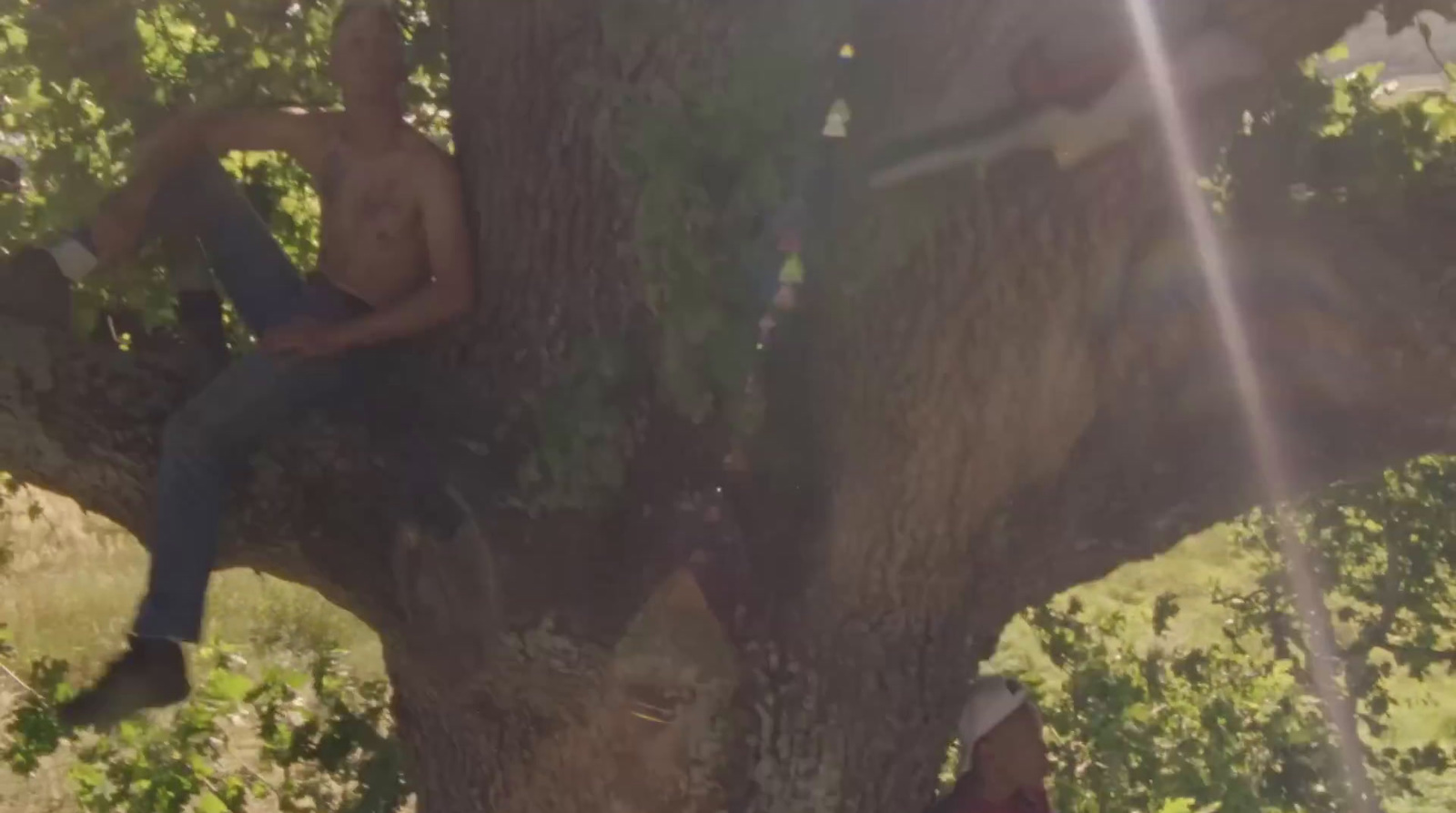 a man sitting on top of a tree next to another man