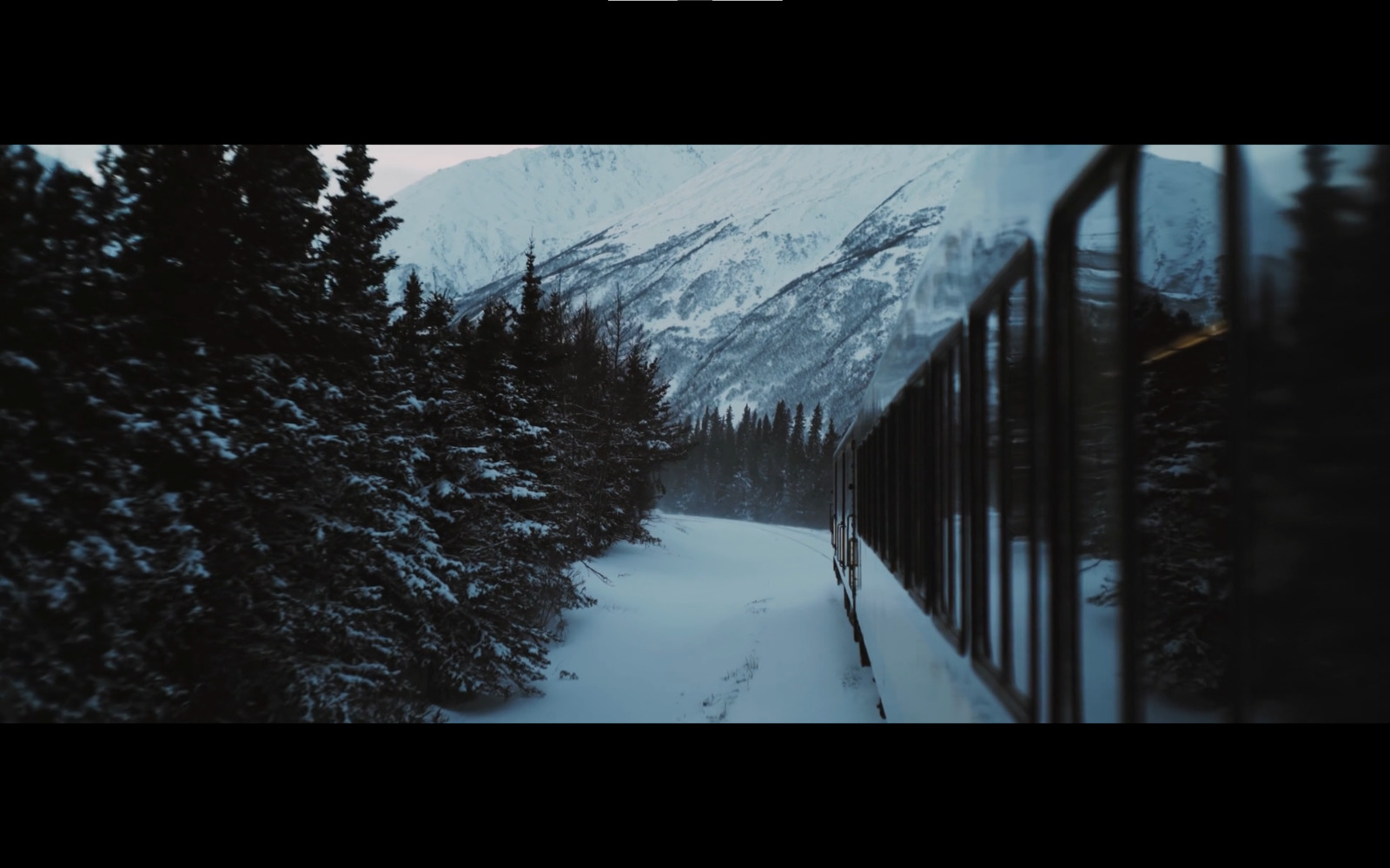 a train traveling through a snow covered forest