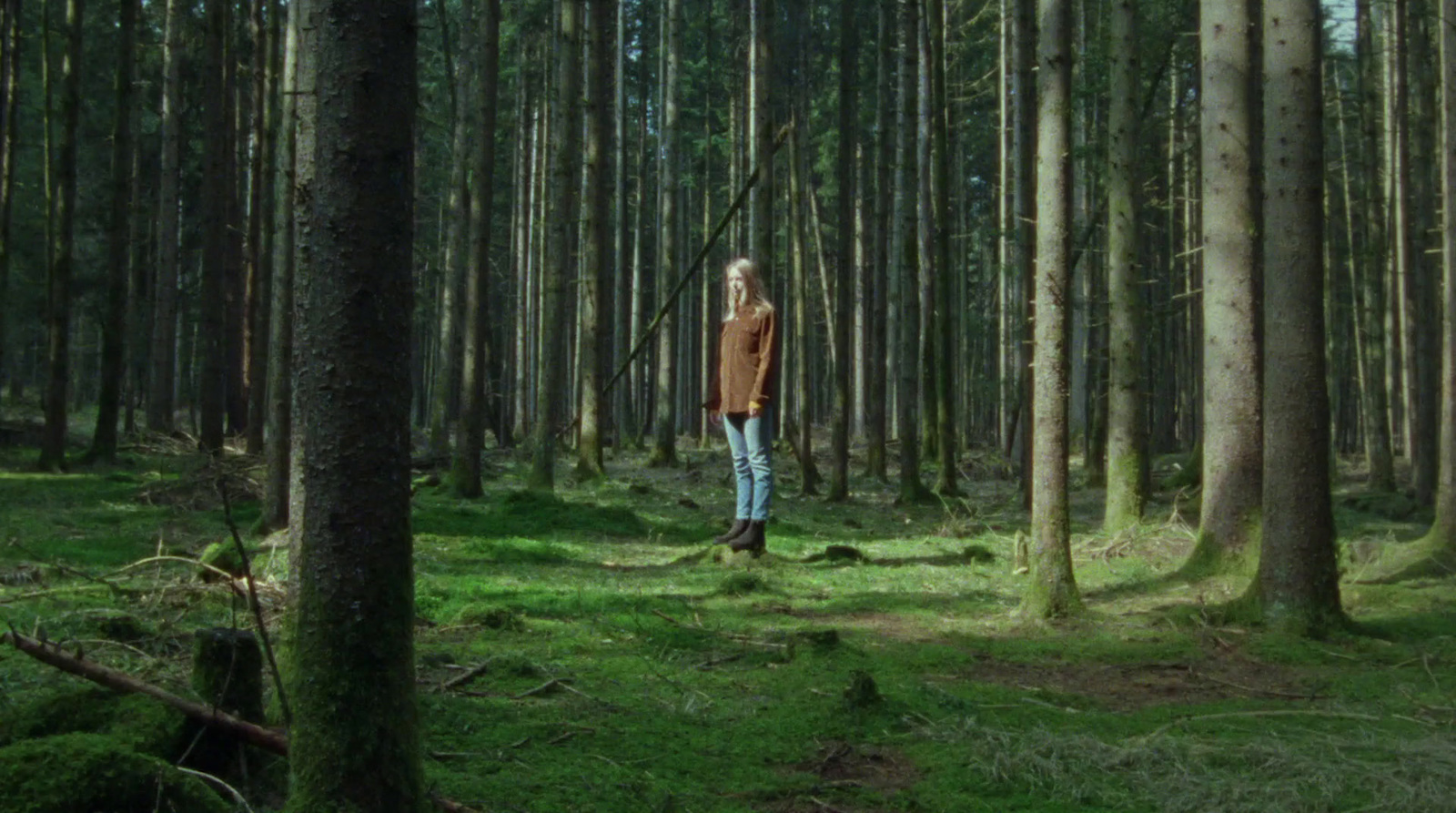 a person standing in the middle of a forest