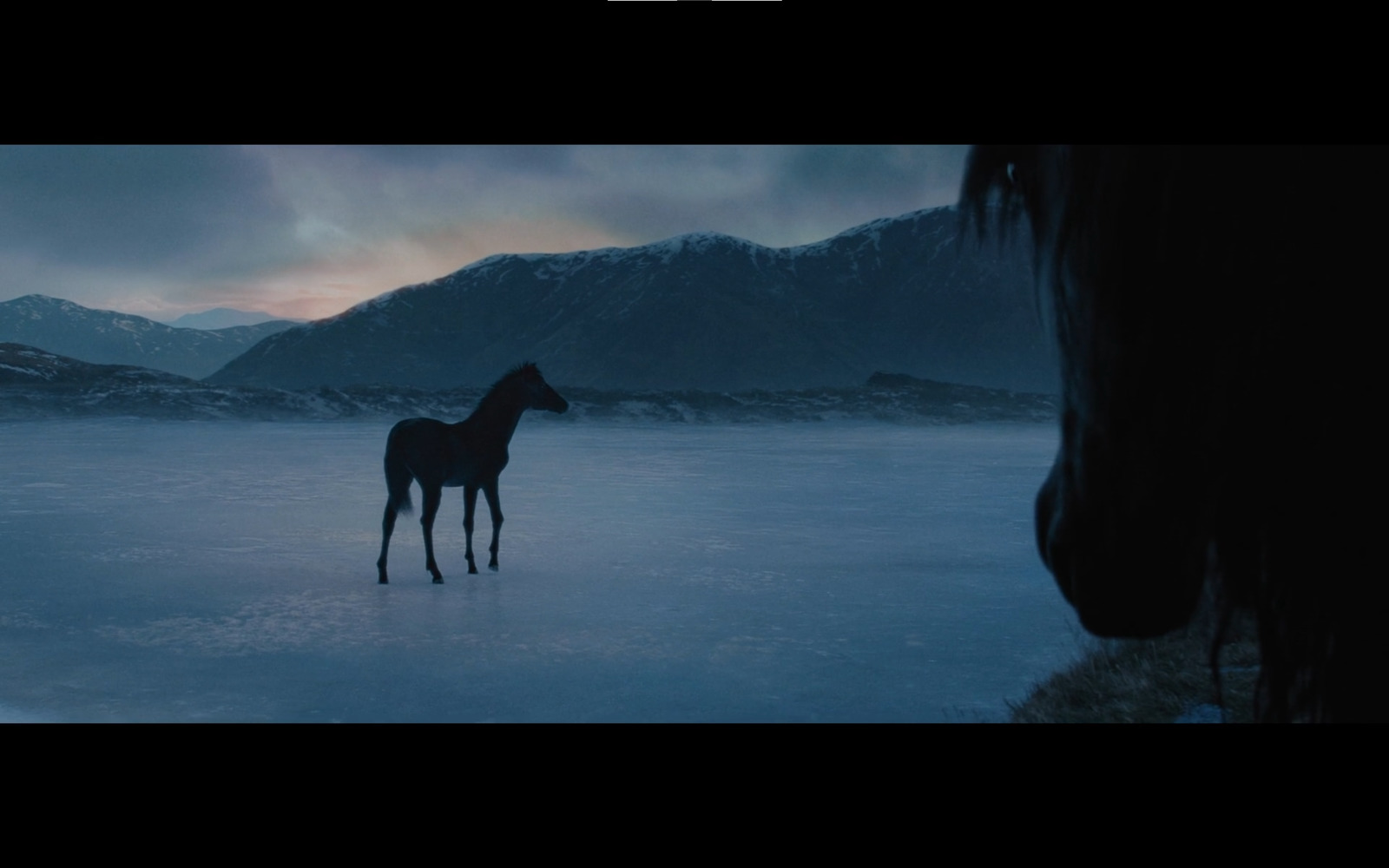 a horse standing in the middle of a frozen lake