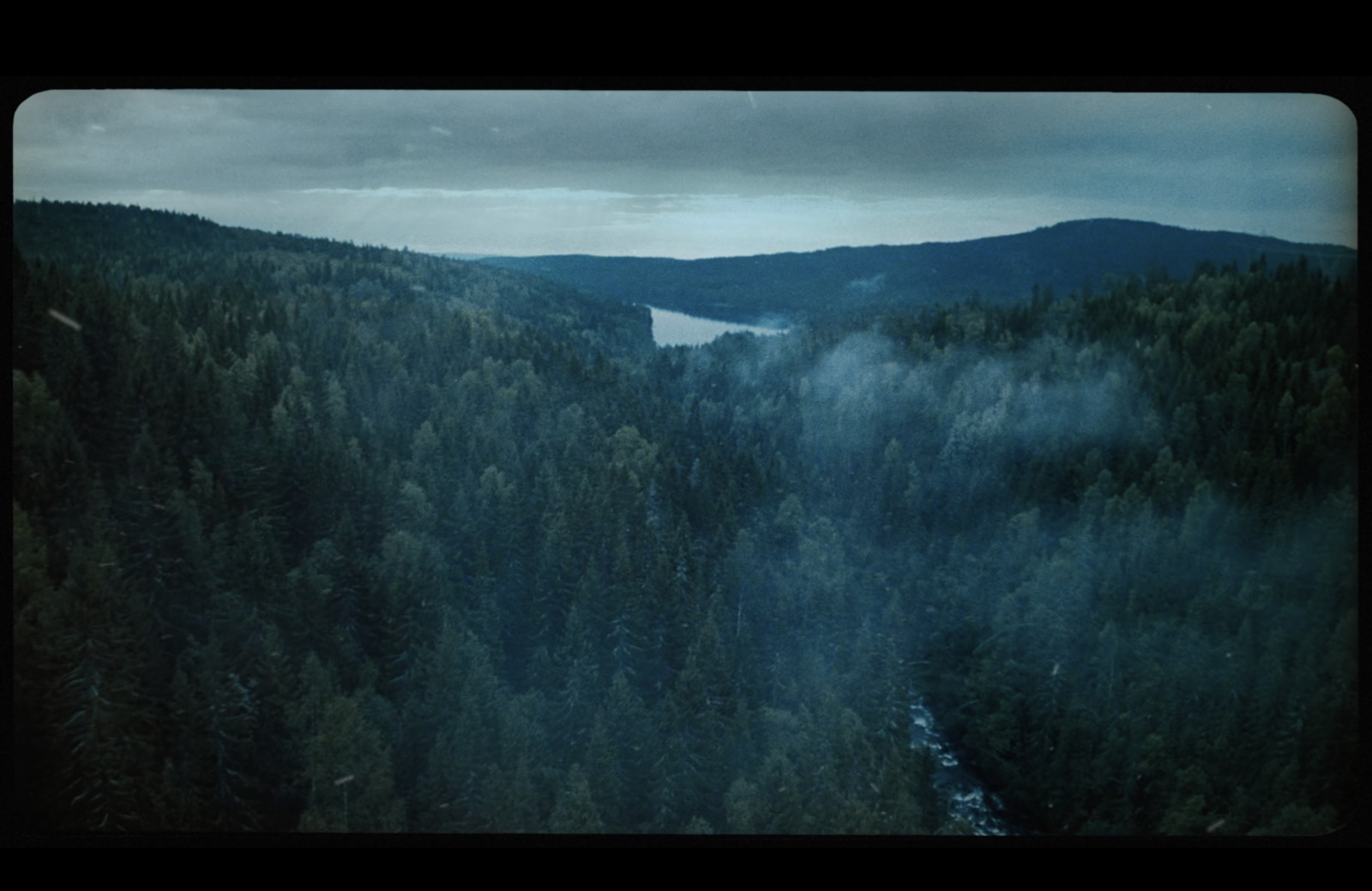 a view of a forest with a lake in the distance