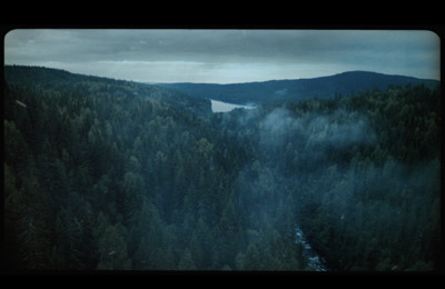 a view of a forest with a lake in the distance