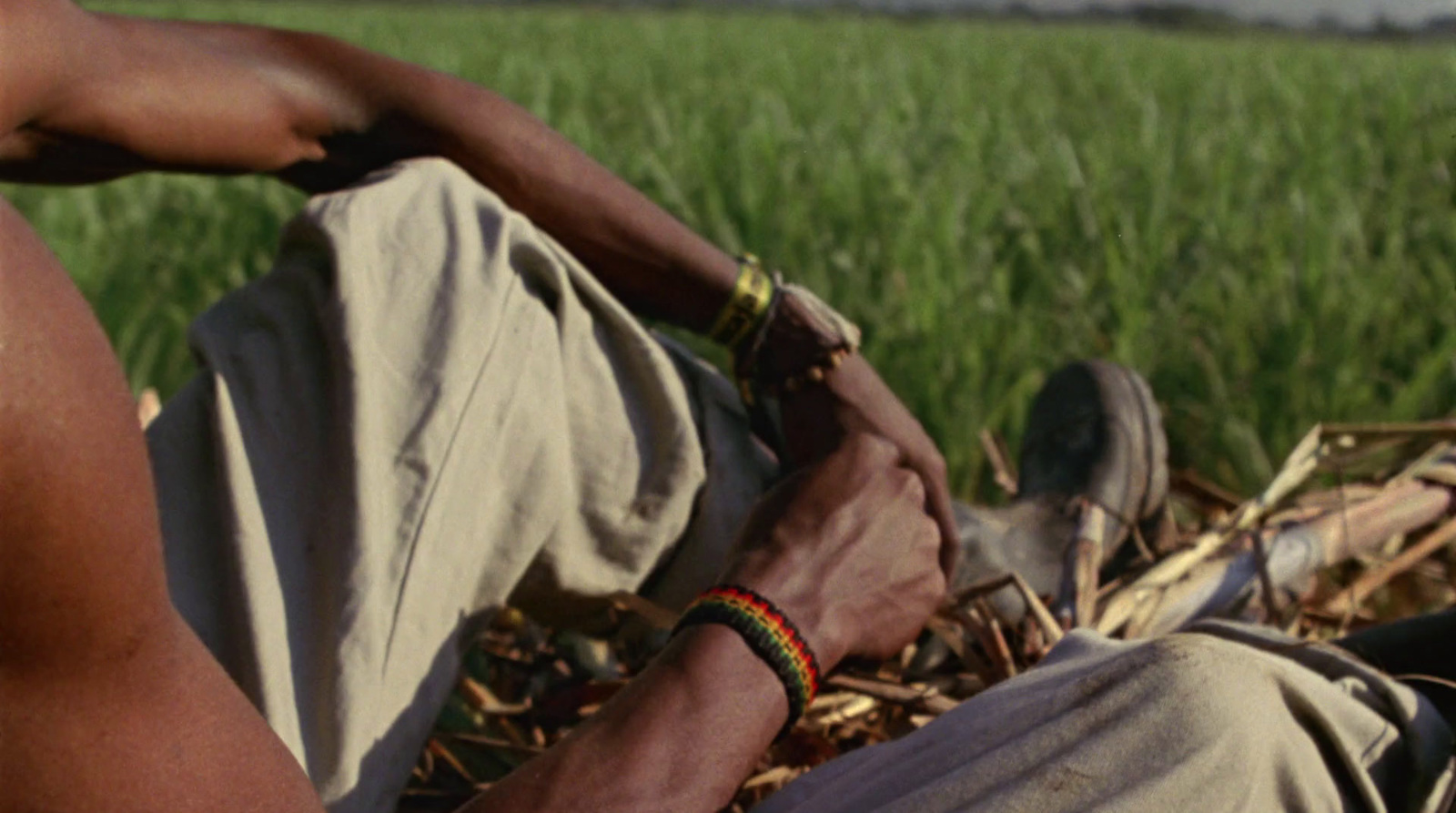 a man sitting in the middle of a field