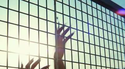 a person's hand through a fence with the sun behind them