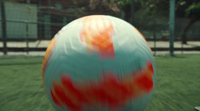 a large ball sitting on top of a lush green field