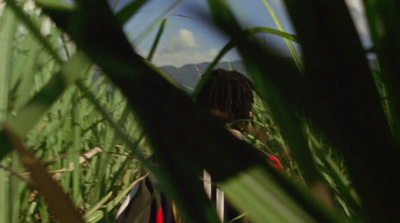 a person standing in a field of tall grass