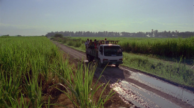 a truck driving down a dirt road next to a lush green field