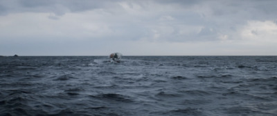 a man riding a surfboard on top of a large body of water