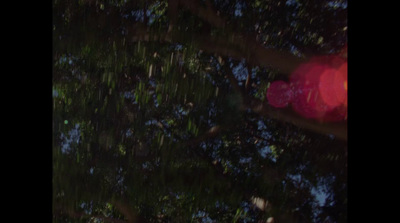 a blurry image of a tree with a red frisbee