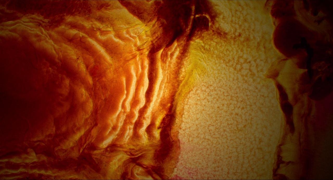 a close up of an orange and yellow substance