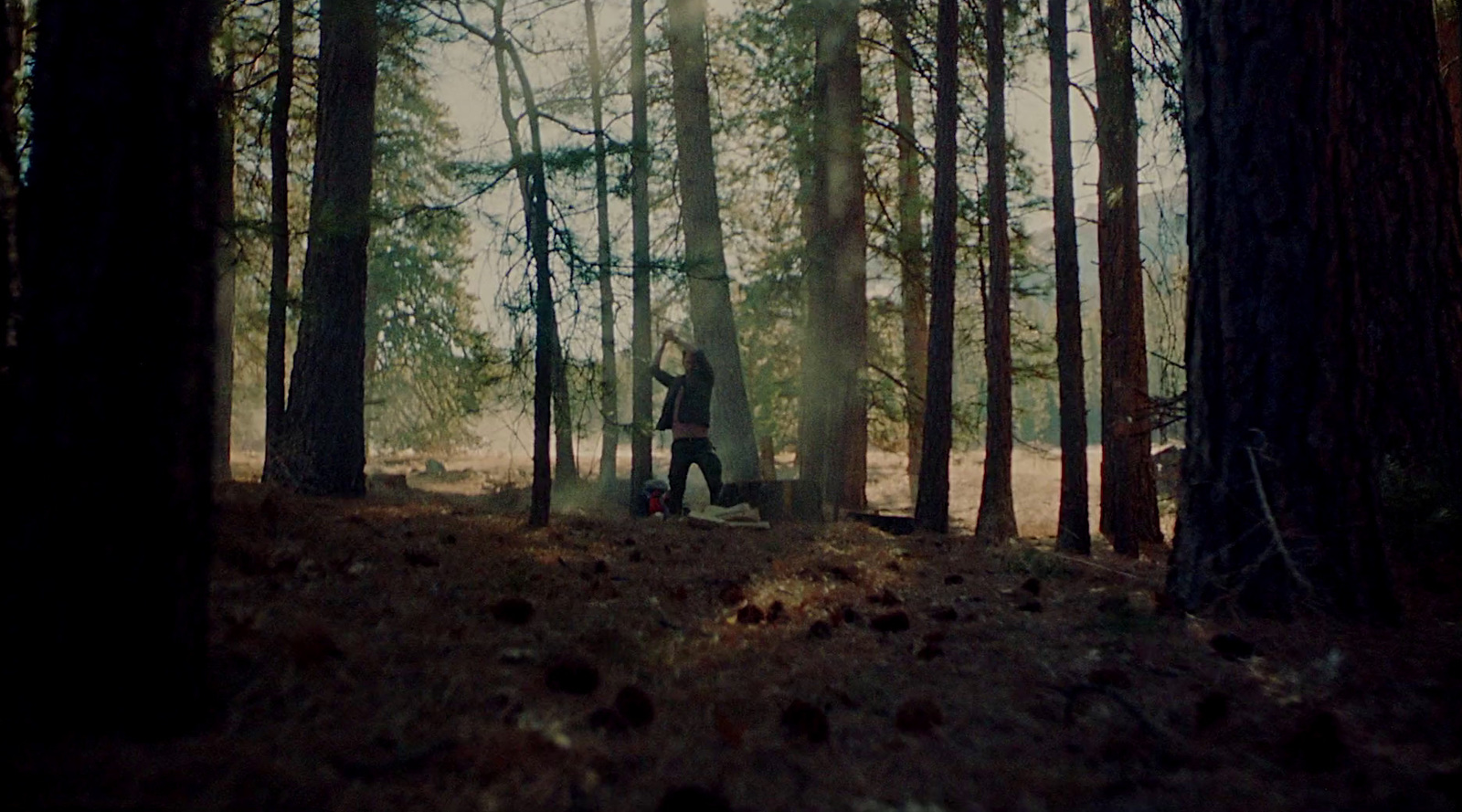 a man walking through a forest next to tall trees