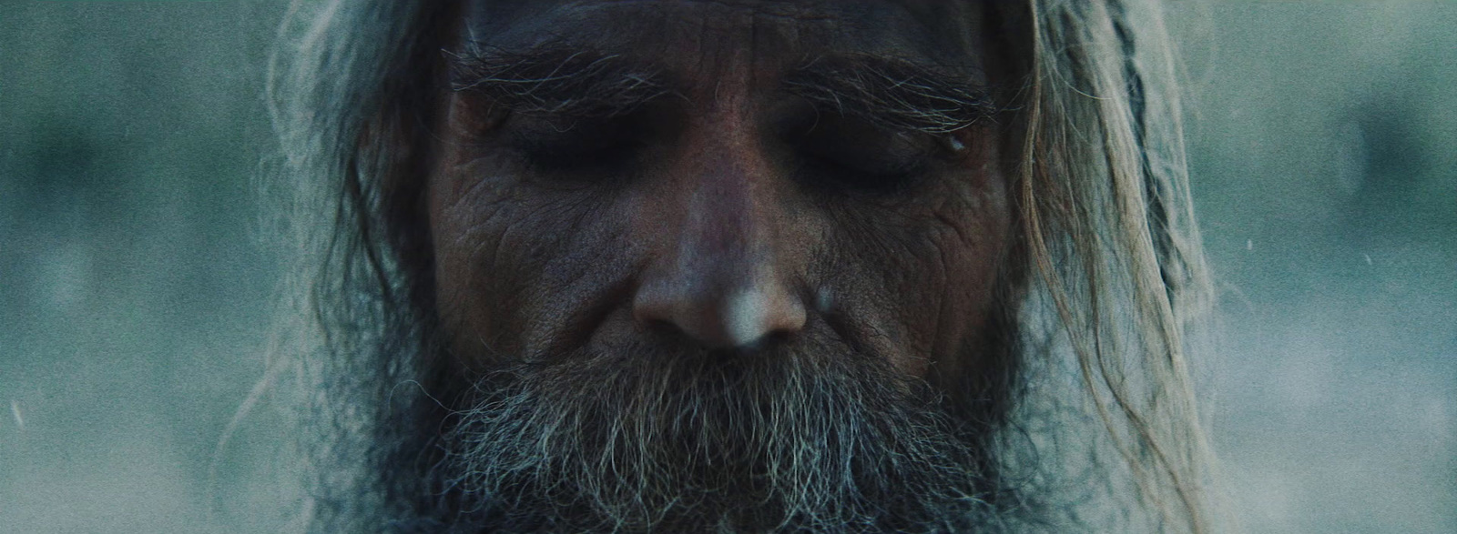 a close up of a man with long hair and beard