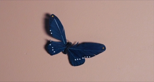 a blue butterfly with white spots on its wings