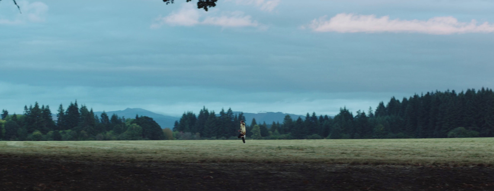 a person standing in a field flying a kite