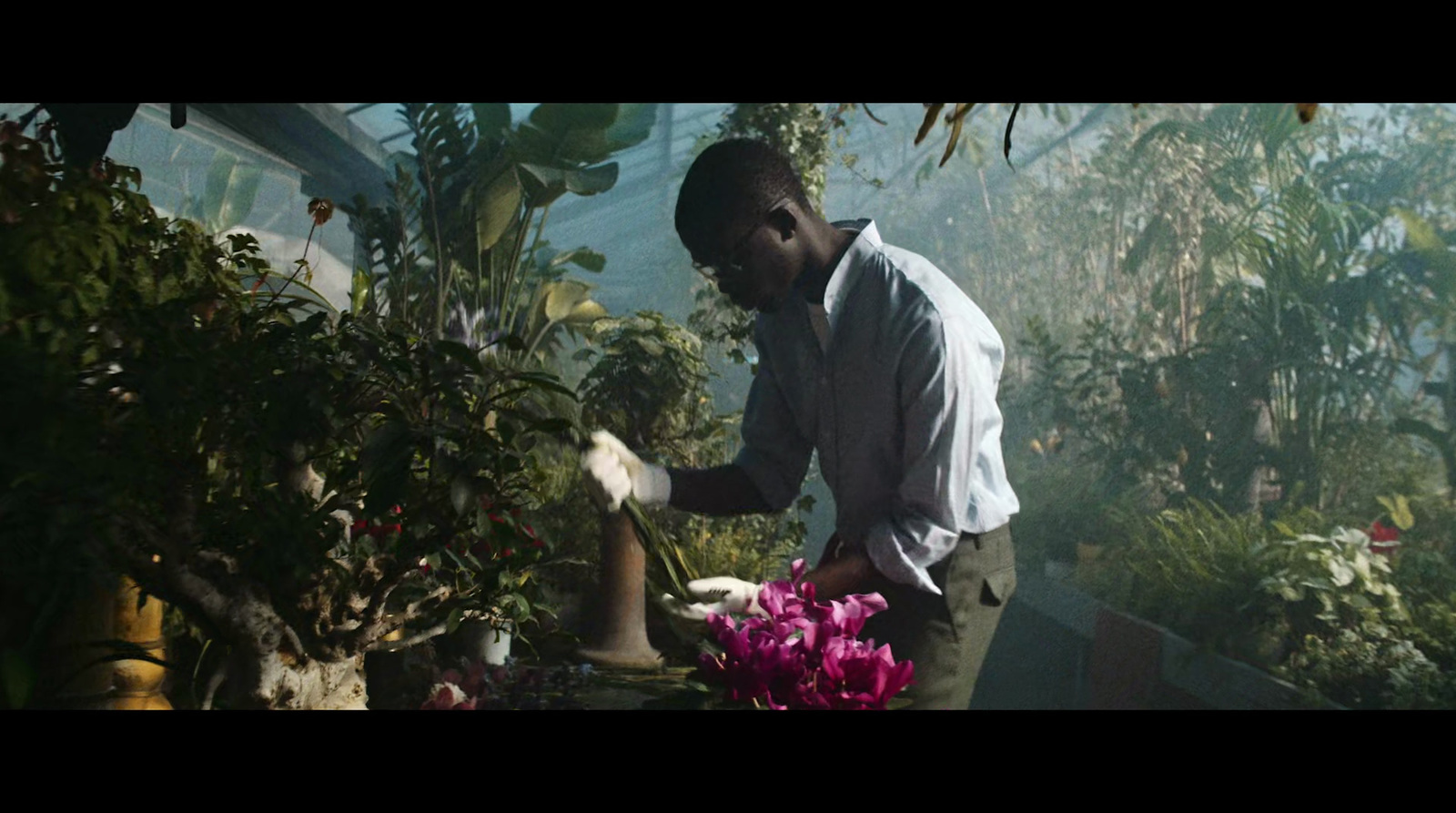 a man in a white shirt and some plants