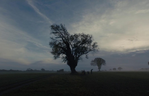 a group of people standing next to a large tree