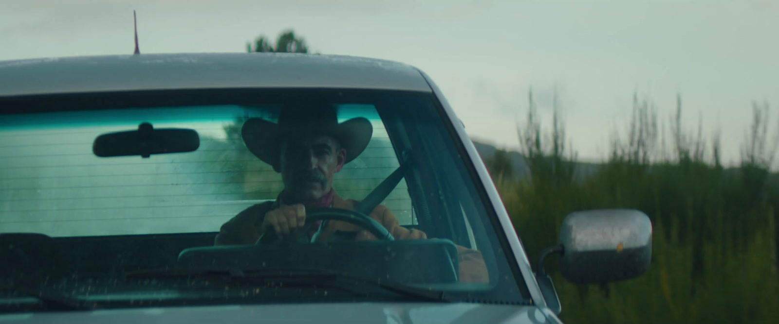 a man driving a truck with a dog in the passenger seat