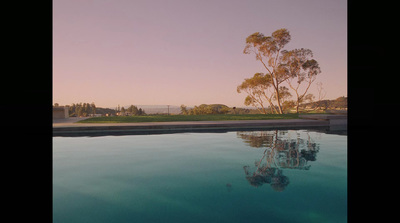 a large body of water with trees in the background