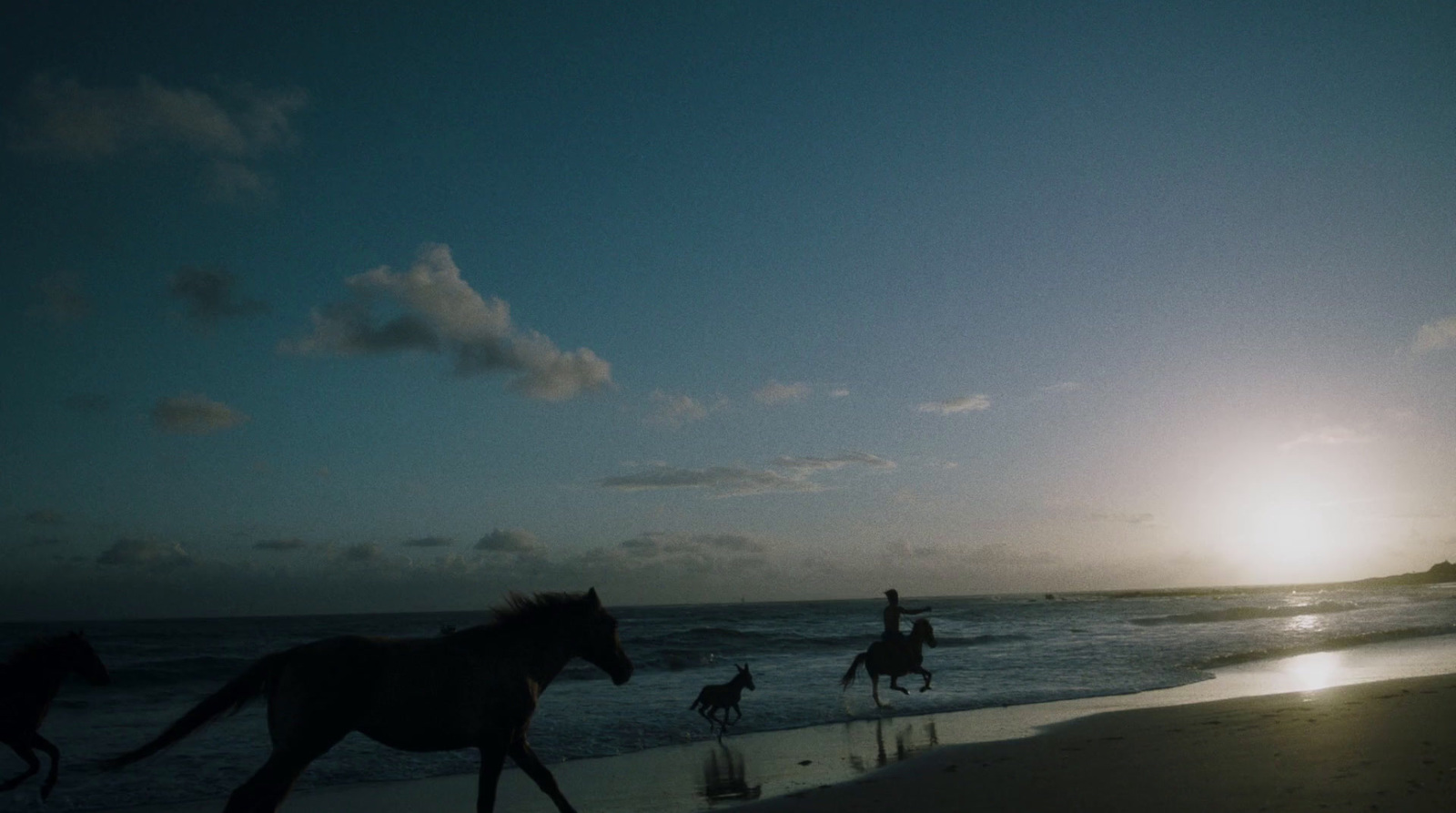 a group of people riding horses on a beach