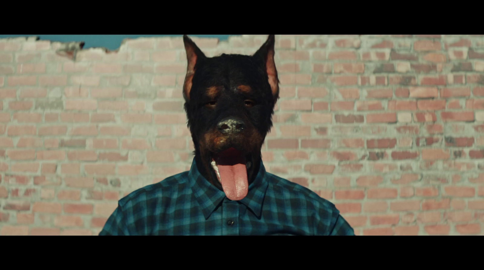 a dog sticking its tongue out in front of a brick wall