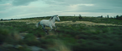 a white horse running through a grassy field