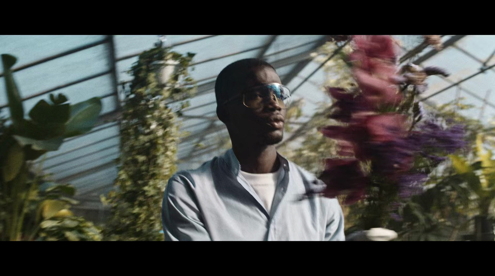 a man wearing sunglasses standing in a greenhouse