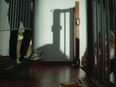 a shadow of a person standing in front of a door