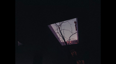 a view of a tree through a window at night