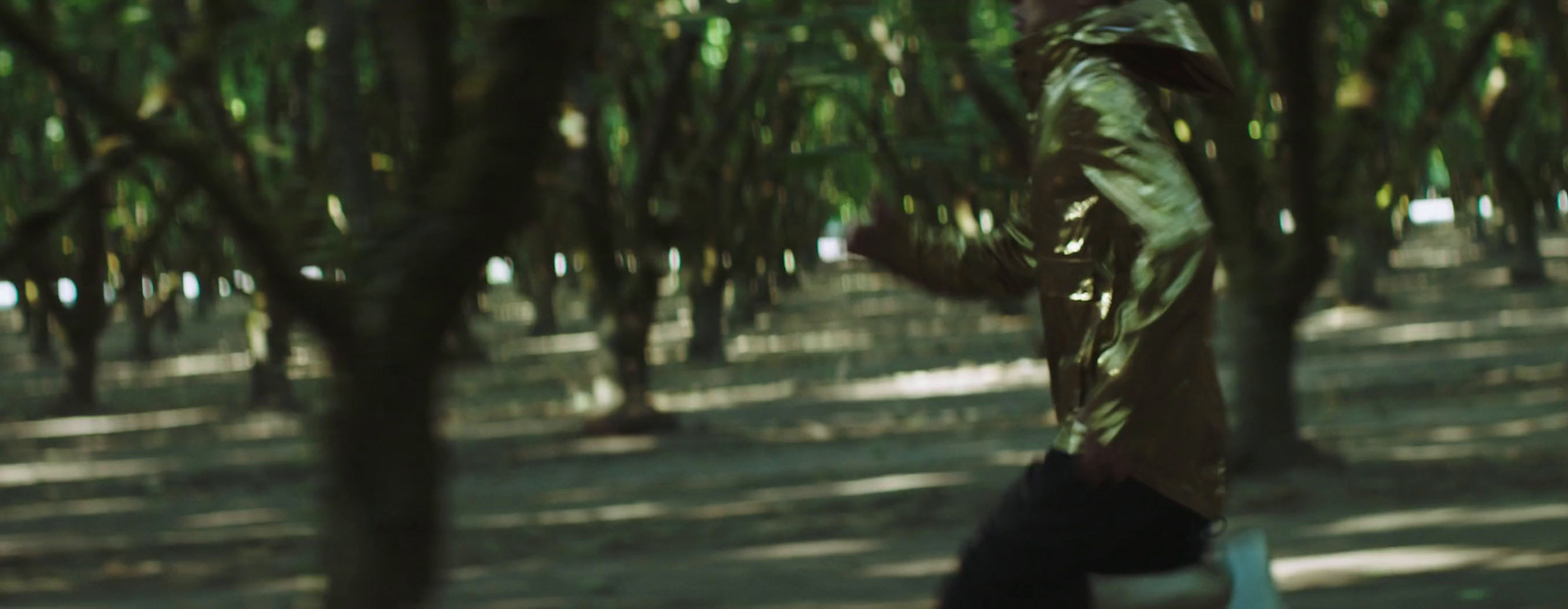 a man running through a forest of trees