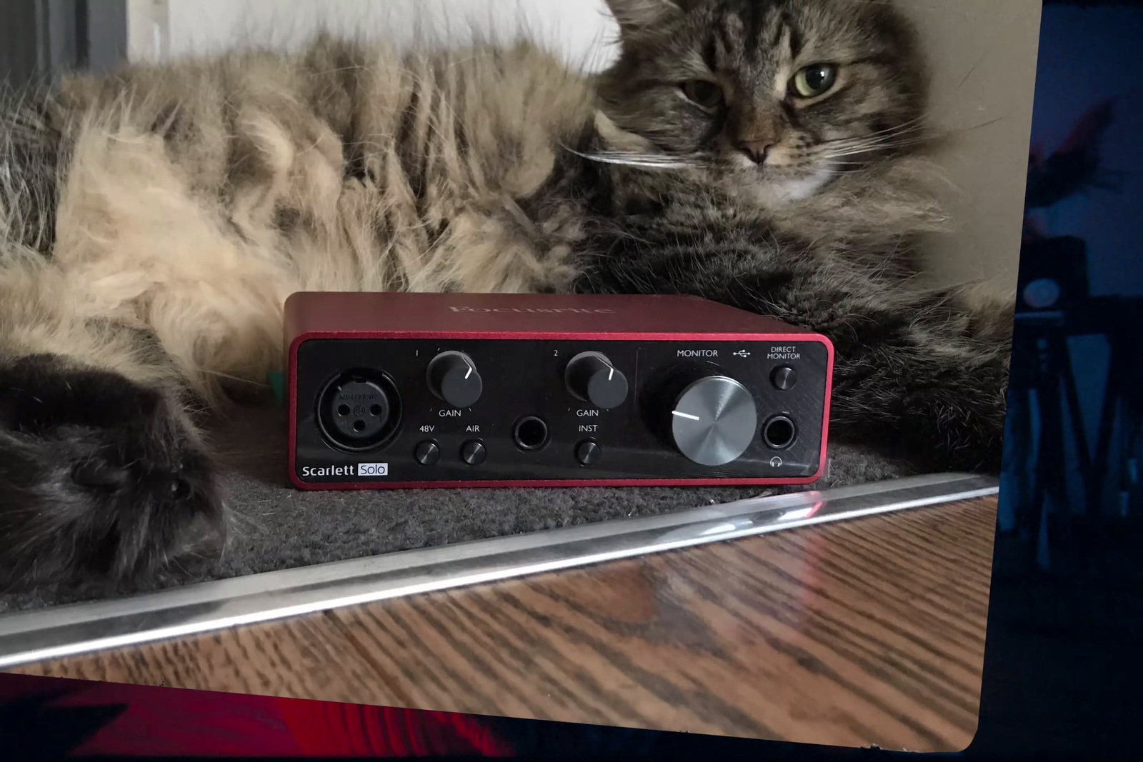 a cat laying on top of a table next to a radio